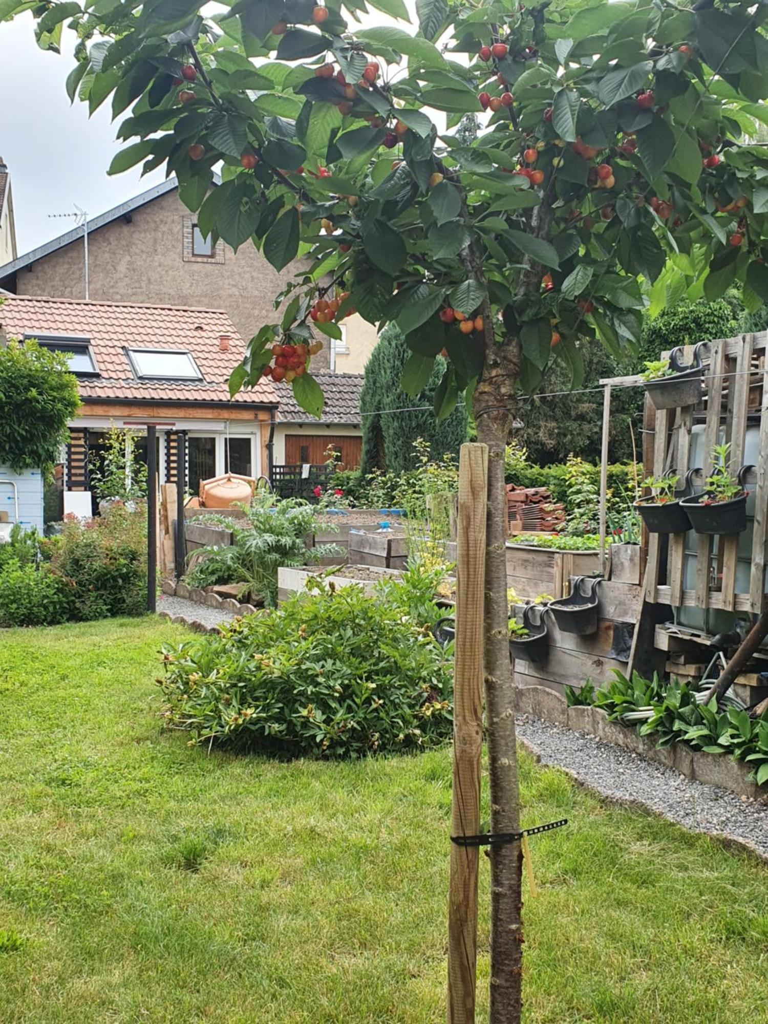 La Casetta Thaon-les-Vosges Extérieur photo