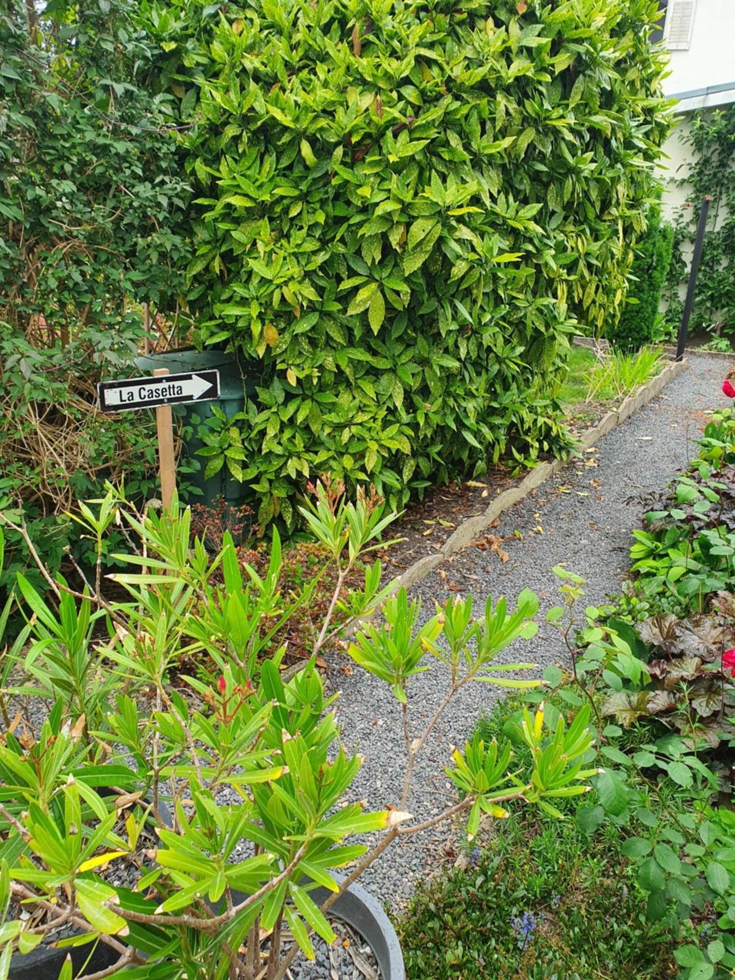 La Casetta Thaon-les-Vosges Extérieur photo